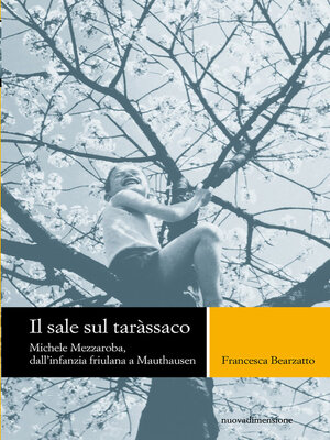 cover image of Il sale sul tarassaco